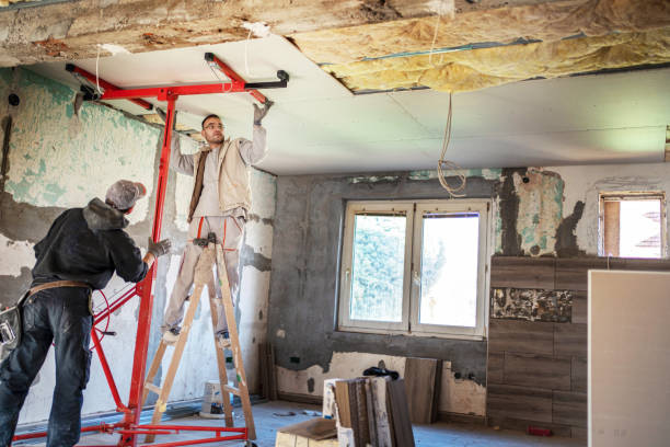 Best Eco-Friendly or Green Insulation Solutions  in St Ann, MO